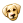 Dog Face